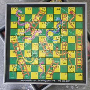 Custom Ludi board Hew